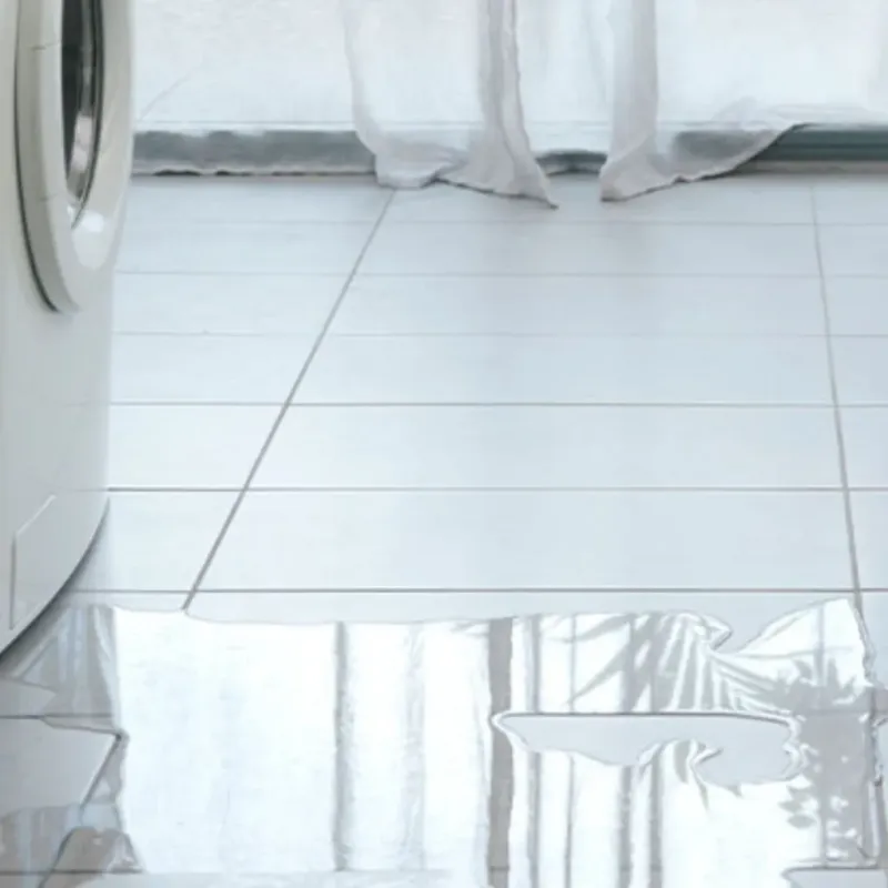 Appliance Leak Cleanup in Montgomery County, AR