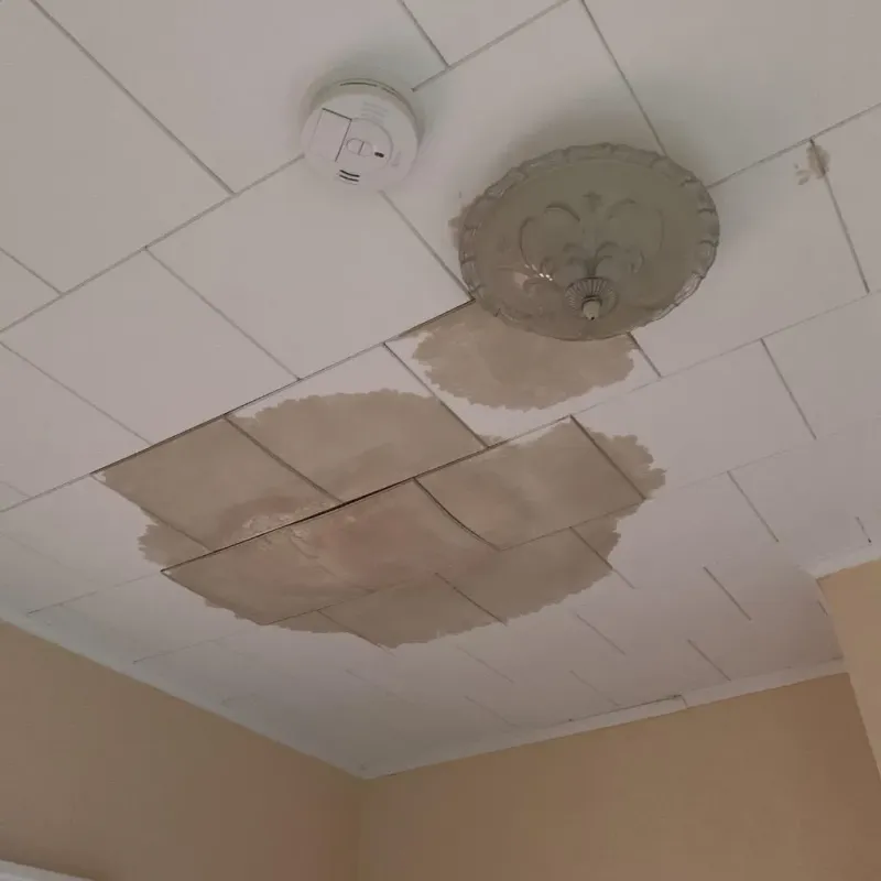Ceiling Water Damage Repair in Montgomery County, AR