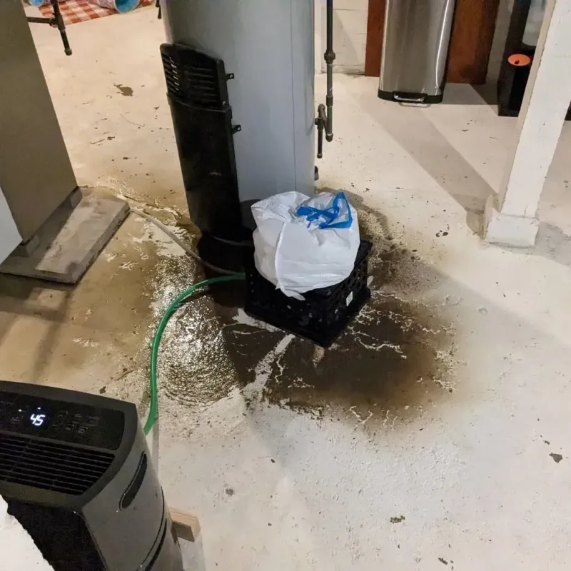 Sewage Backup Cleanup Service in Montgomery County, AR